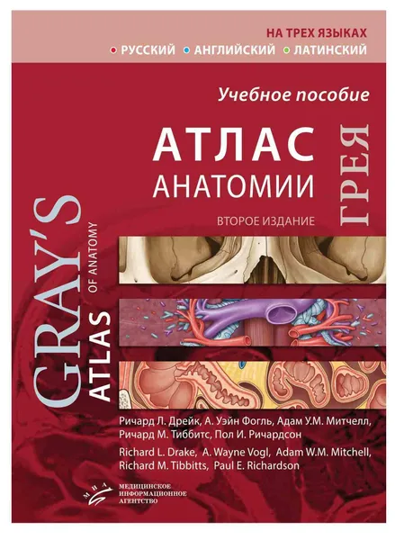 Обложка книги Атлас анатомии Грея (Грэя)(на трех языках), Дрейк Ричард Л., Фогль А.Уэйн., Митчелл Адам У.М.