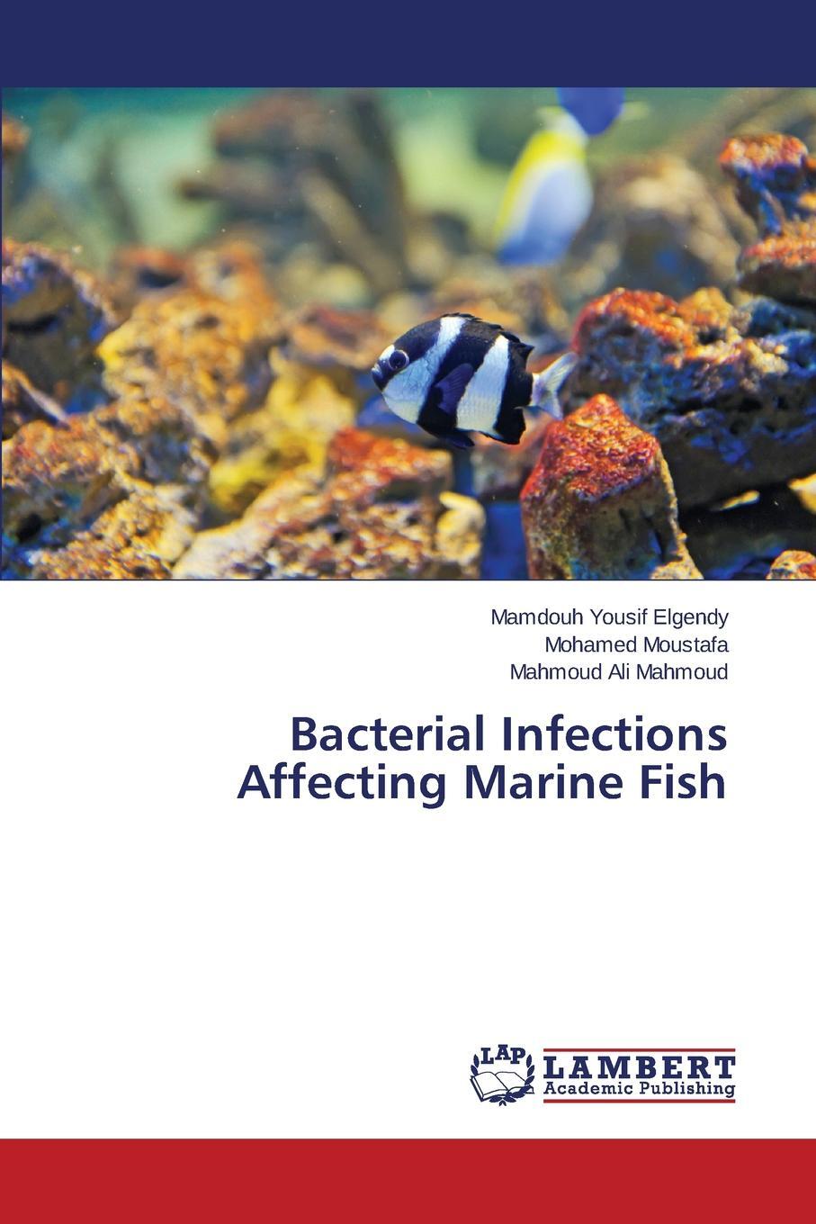 фото Bacterial Infections Affecting Marine Fish
