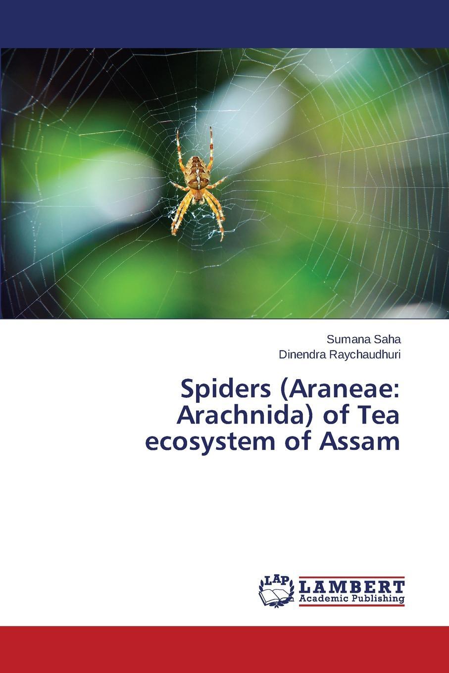 фото Spiders (Araneae. Arachnida) of Tea ecosystem of Assam