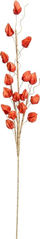 фото Цветок из фоамирана Вещицы "Физалис осенний", aj - 55, 111 см