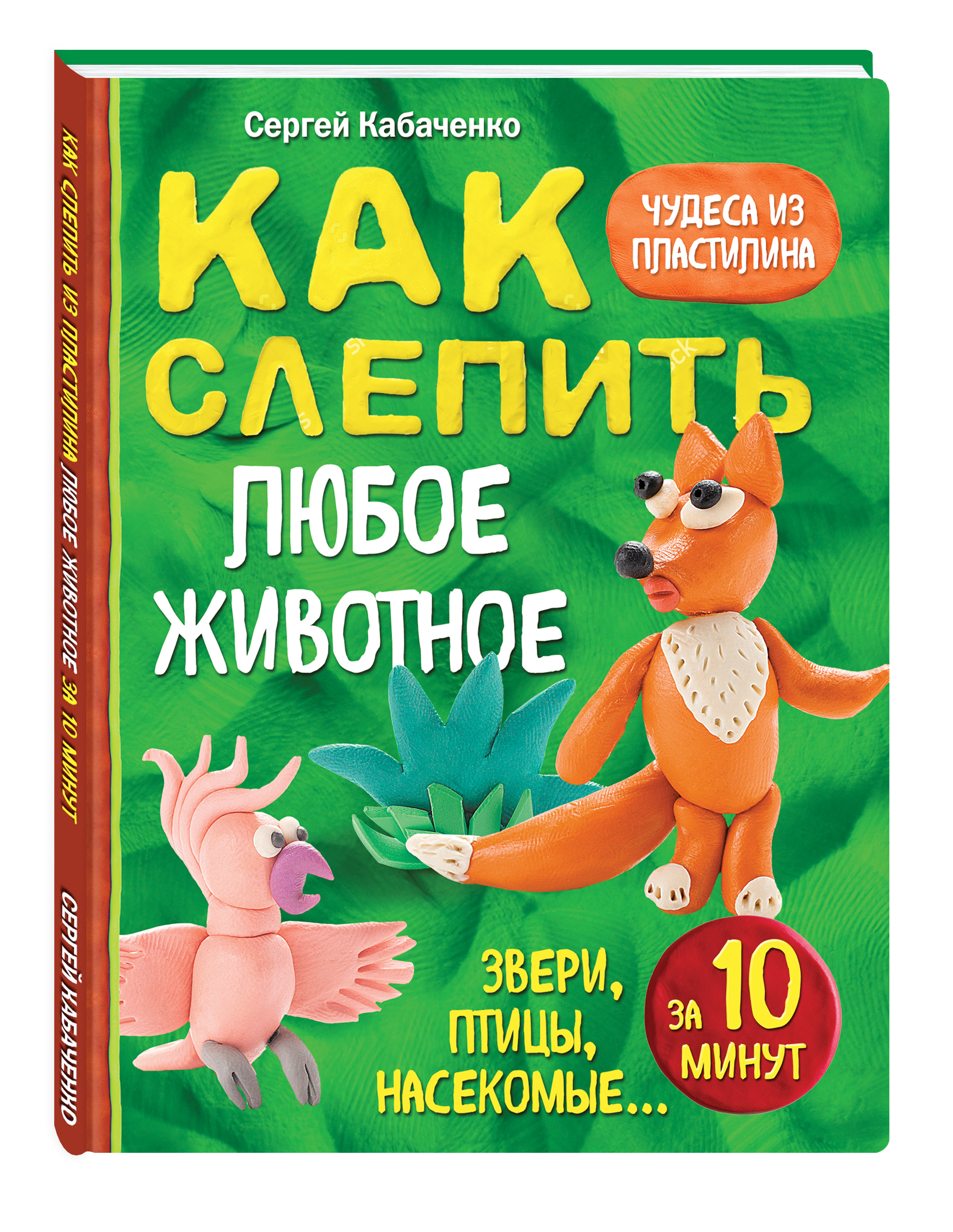 Как слепить из пластилина любое животное за 10 минут. Звери, птицы,  насекомые... | Кабаченко Сергей