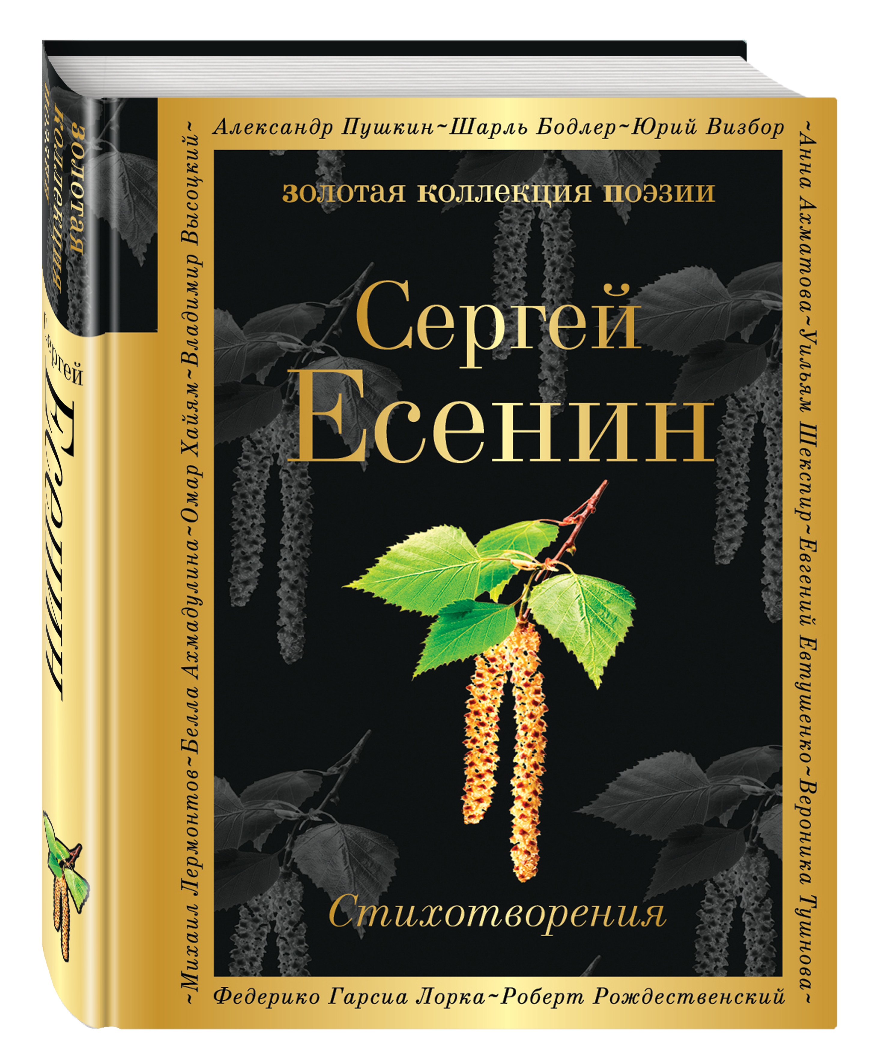 Стихотворение книга