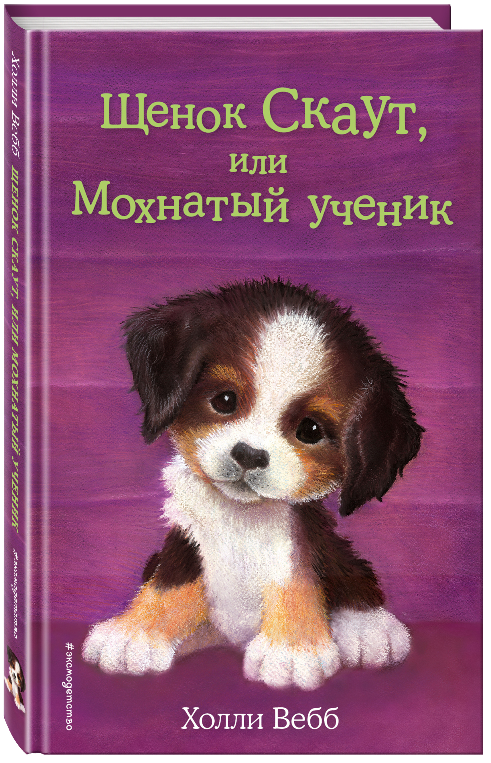 Картинки книг холли вебб