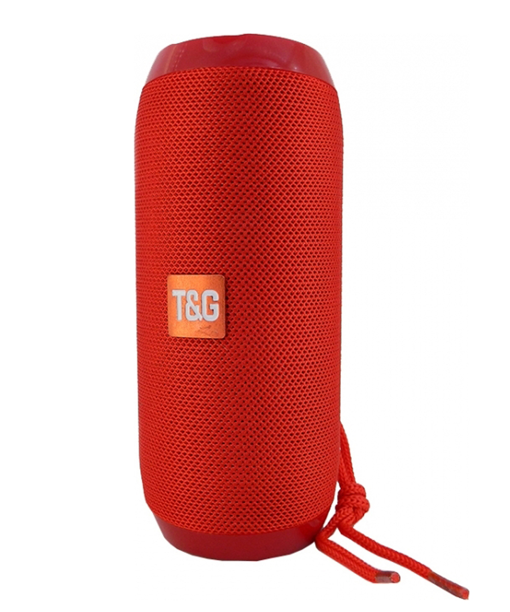 Беспроводная колонка T&G TG-117 (FM, SD, USB, AUX, MIC) - купить по ...