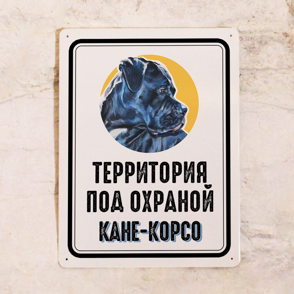 Под Охраной Интернет Магазин Киров
