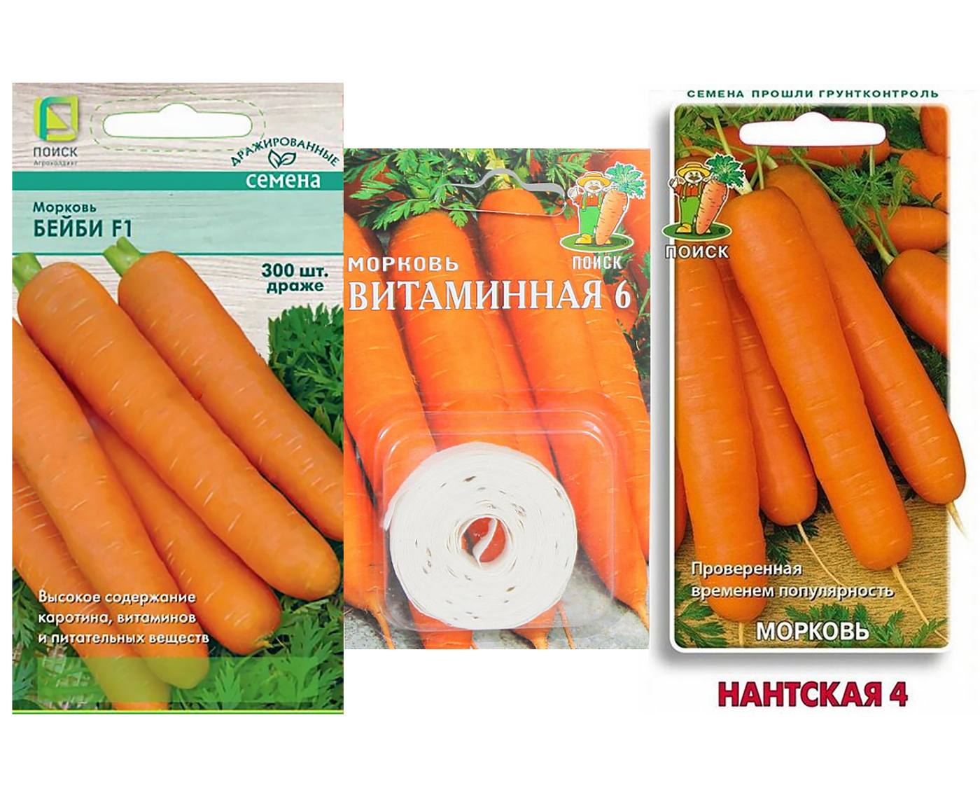 Выбор места и подготовка почвы для посадки моркови Нарбонне