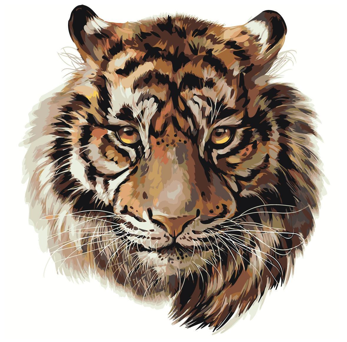 Голова тигра на прозрачном фоне