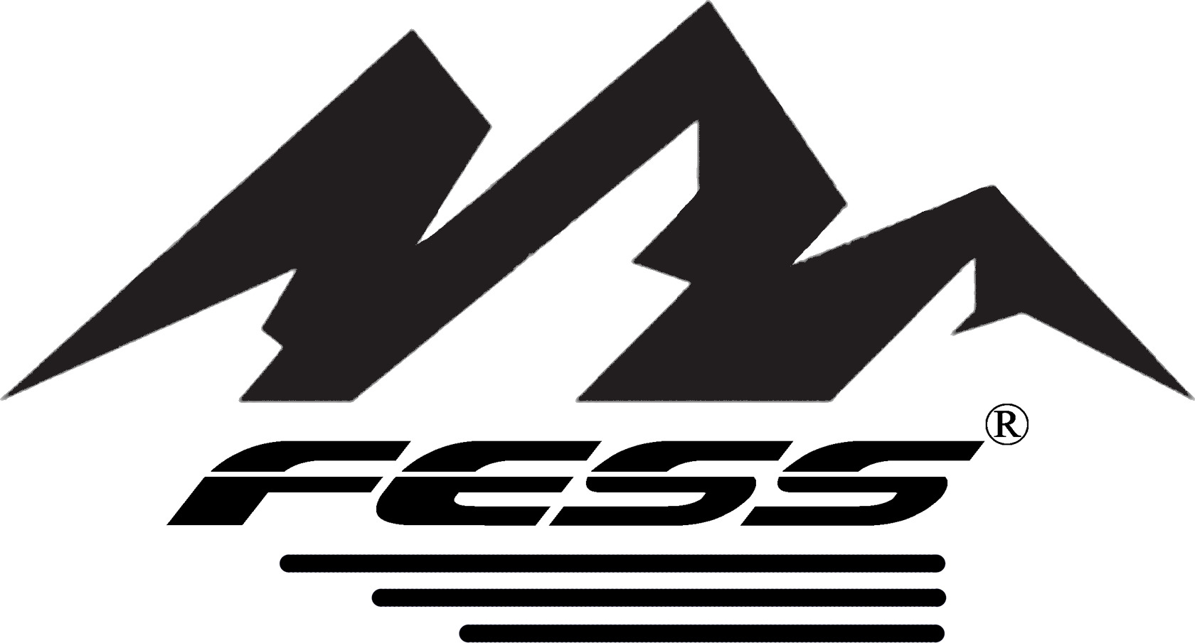FESS — купить товары FESS в интернет-магазине OZON