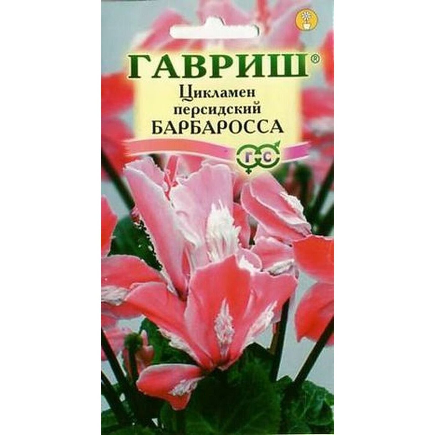 Купить Семена Цикламена Недорого