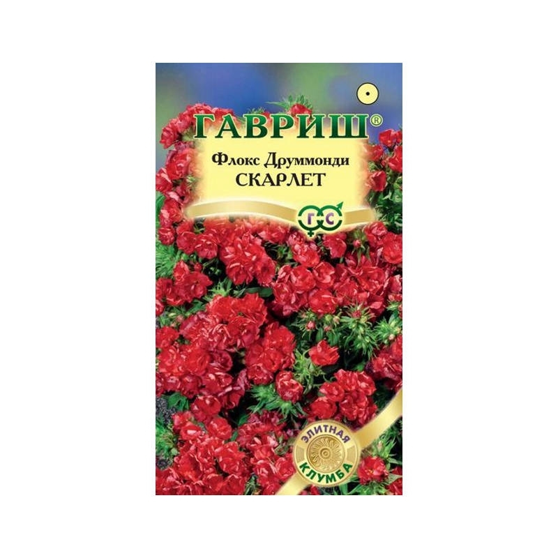 Магазин Флокс Семена