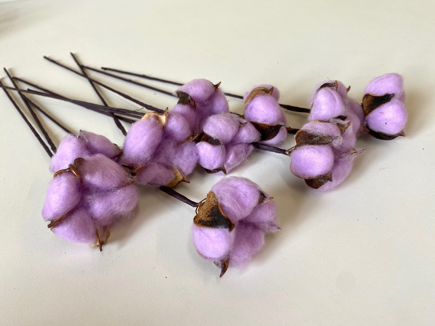 хлопок ветка сухоцвет. цветки хлопка засушенные. хлопок натуральный сухоцвет. хлопчатник сухоцвет. лепестки хлопка сухие.