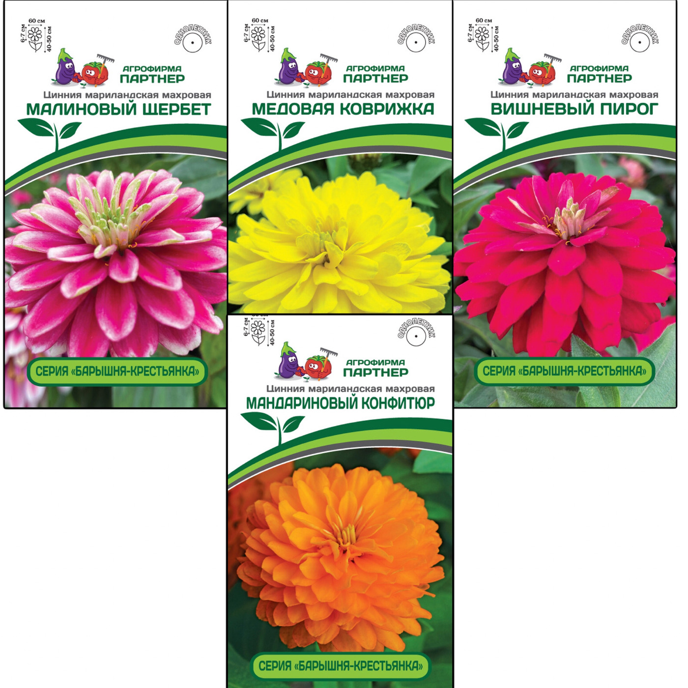 Циния кустовая агрофирма партнер. Цинния мастер черри роуз. Циния персидский красный партнер. Фирма партнер семена цинии. Фирма партнер семена цинии.