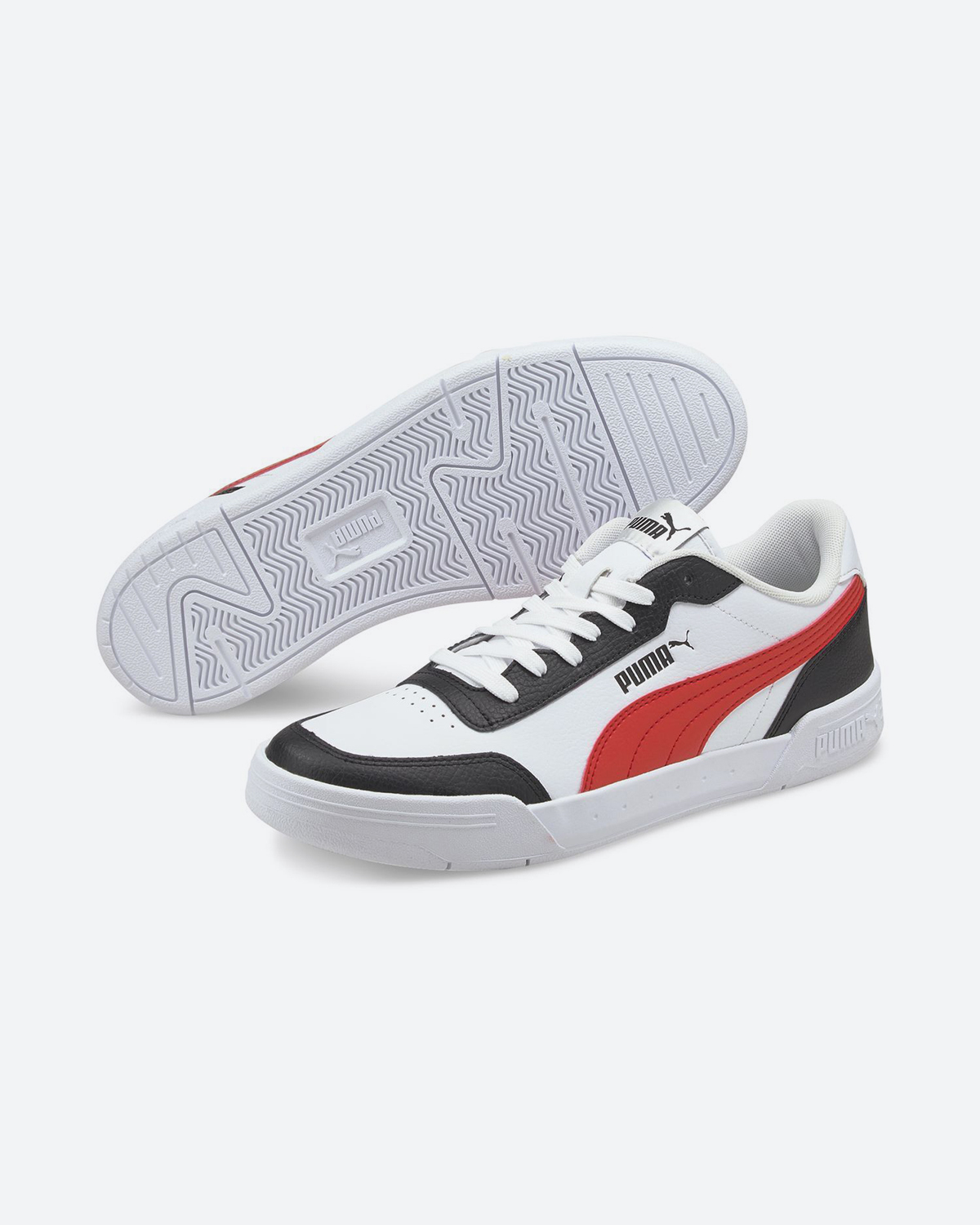 puma caracal red