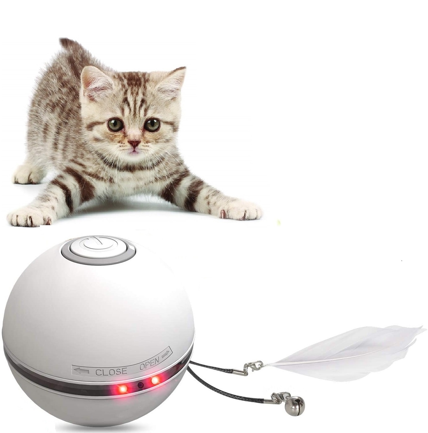 Какую Игрушку Купить Кошке