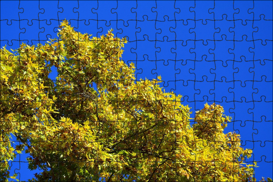 Donner yellow fall. Наступила осень на деревьях листья стали желтыми. Почему желтеют листья осенью на деревьях. Наступила осень на деревьях листья стали желтыми. Наступила осень на деревьях листья стали желтыми.