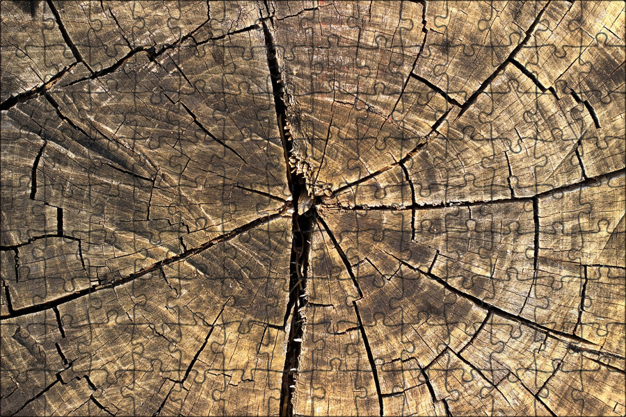 Full wood. Скол древесины. Скол дерева текстура. Текстура дерево Расколотое. Текстура дерева дугой