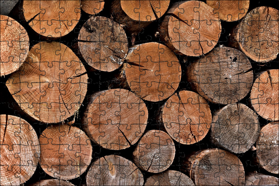 Поленница в лесу. Рубит дерево. Дерево с кучей стволов. Спиленное дерево. Срубленные деревья пни.