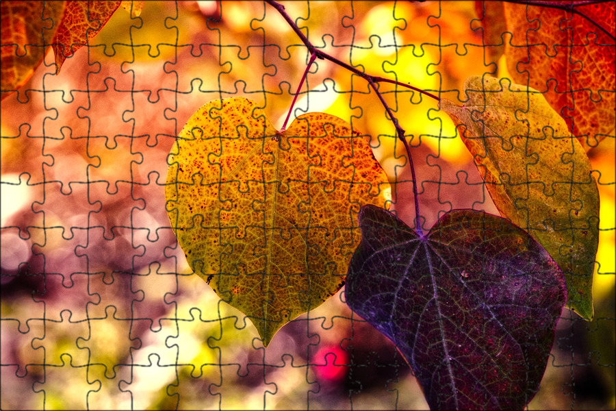 Autumn comes autumn leaves. Осень листья. Листья под ногами. Фон осень. Осень дождь листья.