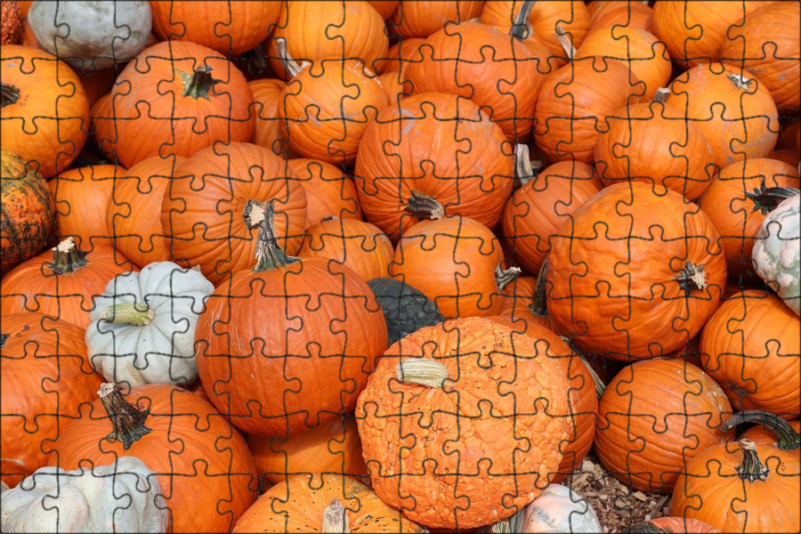 Orange Harvest Pumpkin free image download