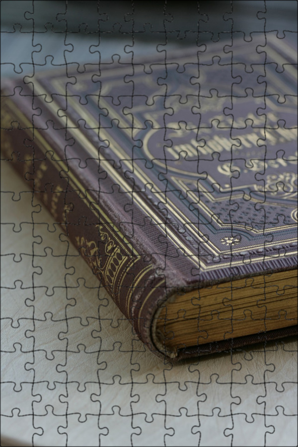 Тринадцатая сказка книга. Уоррен xiii. Тринадцатая сказка похожие книги. Книга 13. Книга 13.