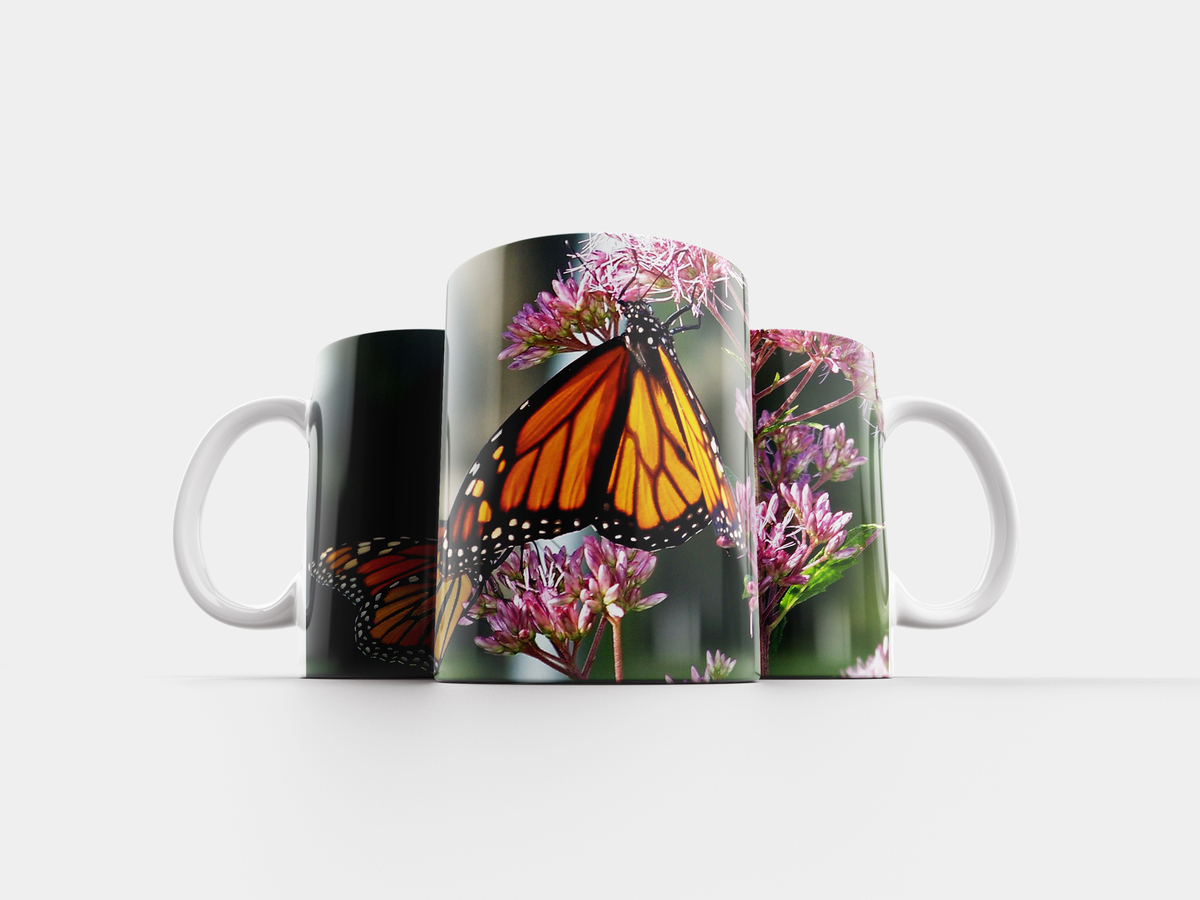 Кружки с бабочками. Кружка с мотыльками. Чашки с бабочками арт 450020. Бабочка инкрустация на кружке. Бабочка с кружками 13 букв