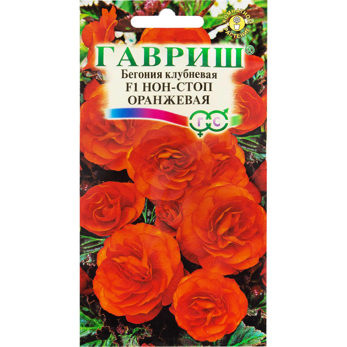 Бегония нон-стоп оранжевая. Бегония клубневая нон стоп оранжевая. Гавриш бегония клубневая f1 нон стоп Скарлет. Бегония Гавриш.