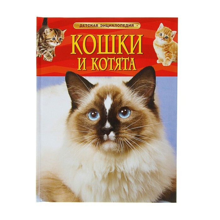 Энциклопедия кошек картинки