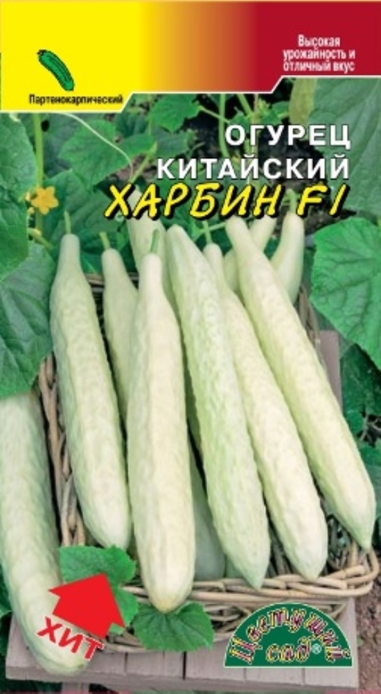 Огурцы Китайские Купить В Самаре