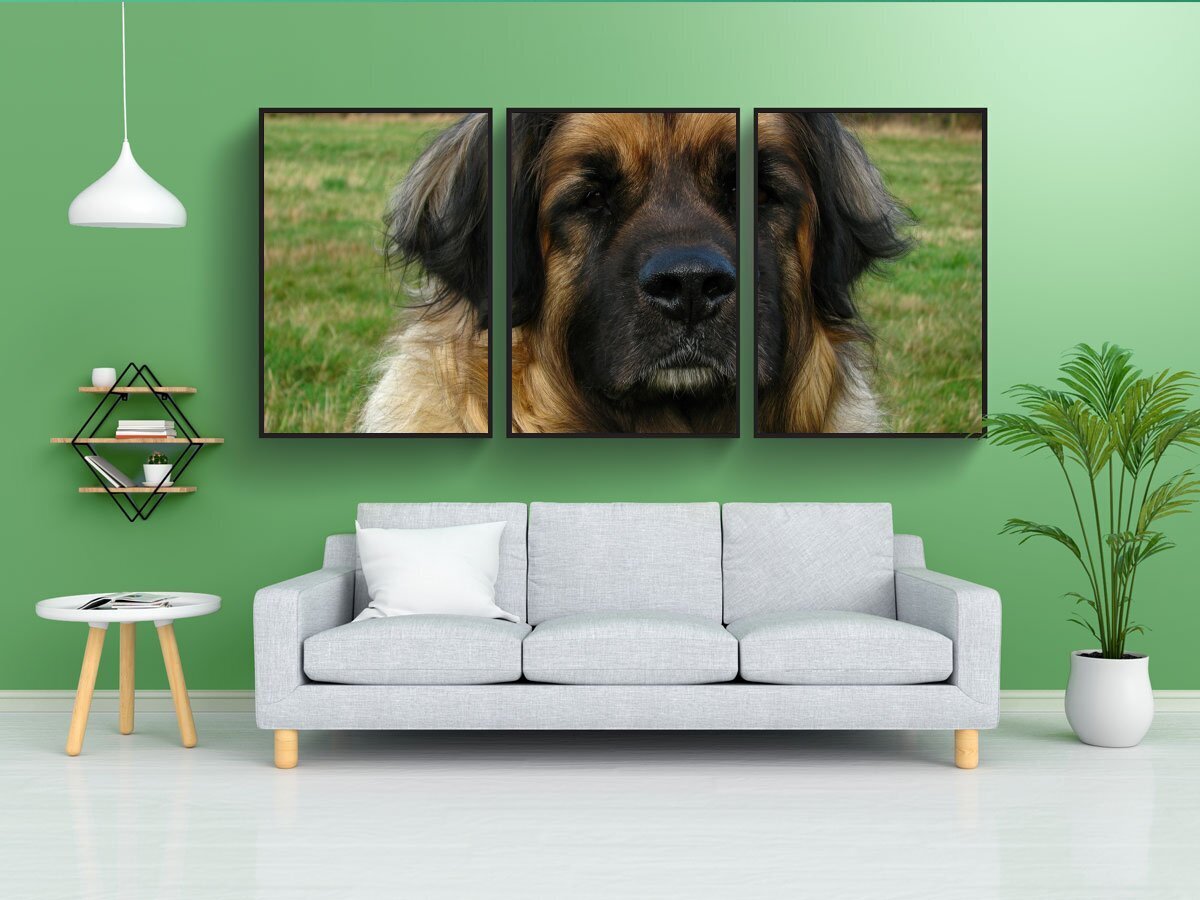 Постер собаки. Постеры с собаками. Постер щенки. Мини постеры для собак. Ретро постеры с собаками.