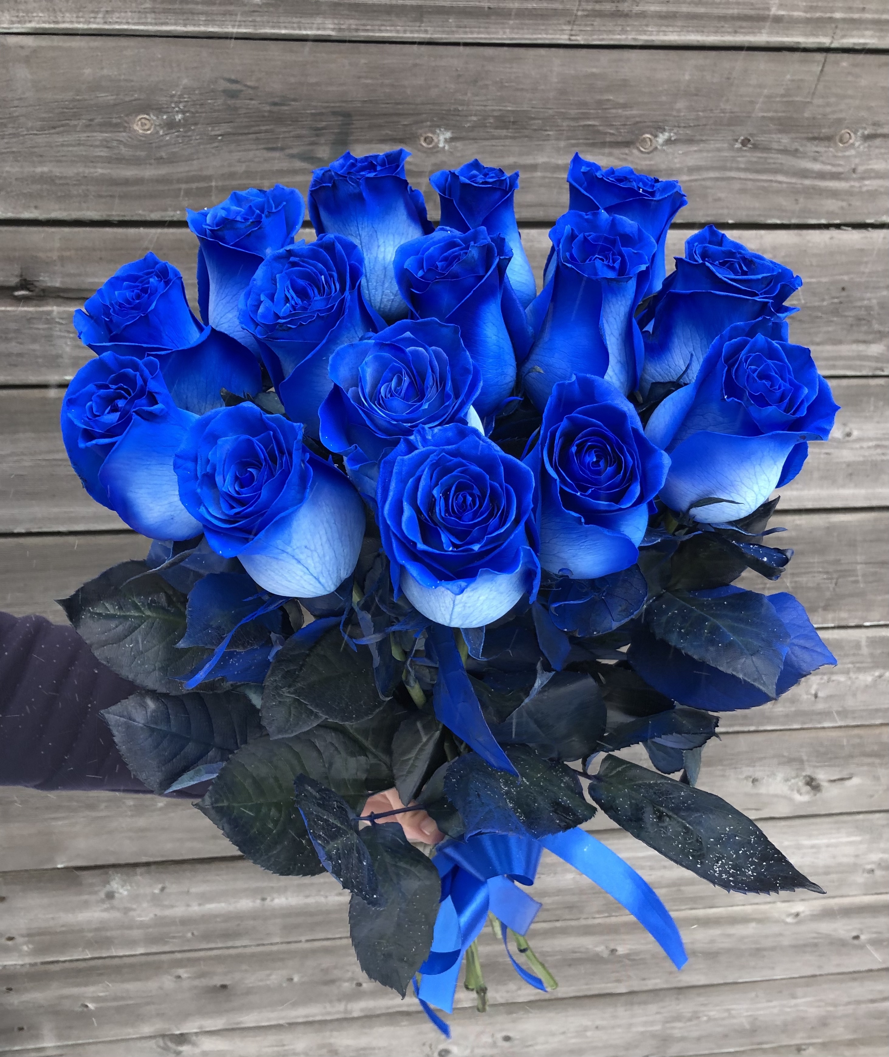 Мечник синих роз