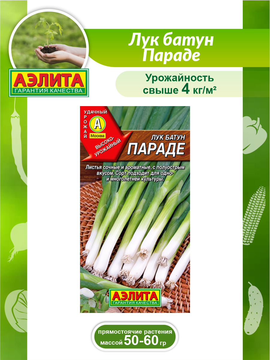 Агрофирма лучники. Лук батун параде 0.5гр (Сиб сад). Лук батун параде, 0.3г,. Лук батун русский зимний Аэлита. Лук батун Стражник Аэлита.