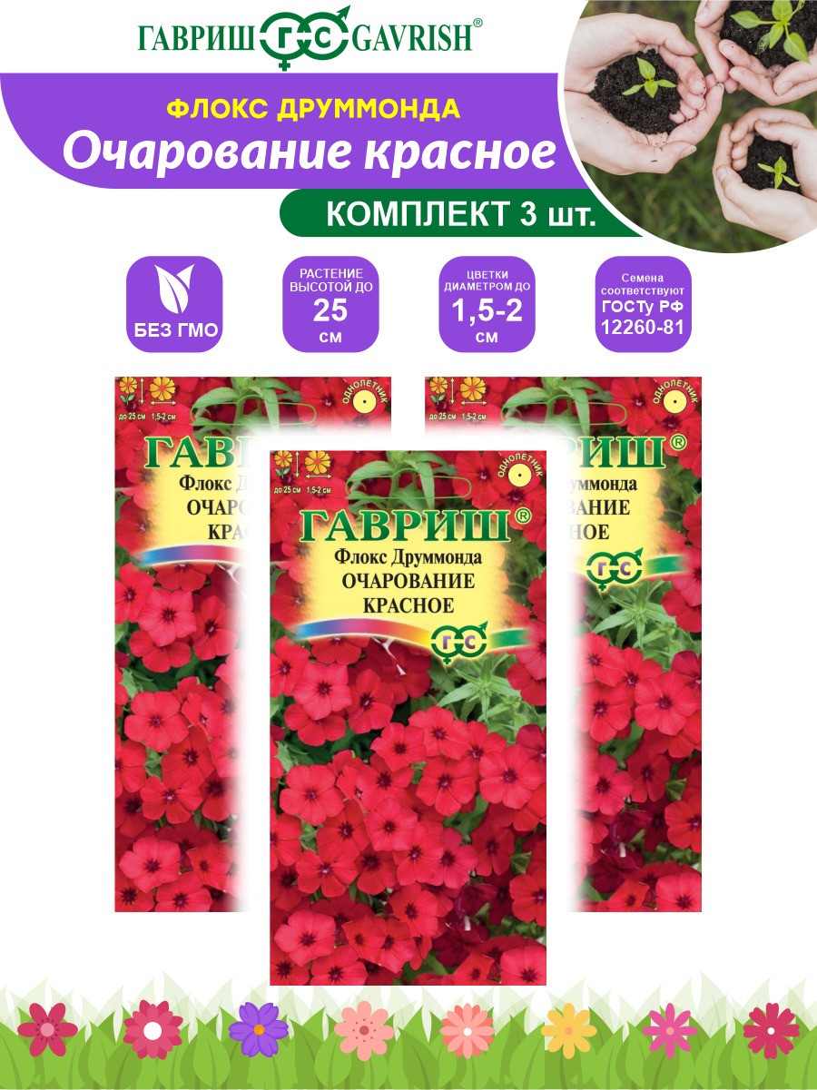 Флокс друммонда очарование красное