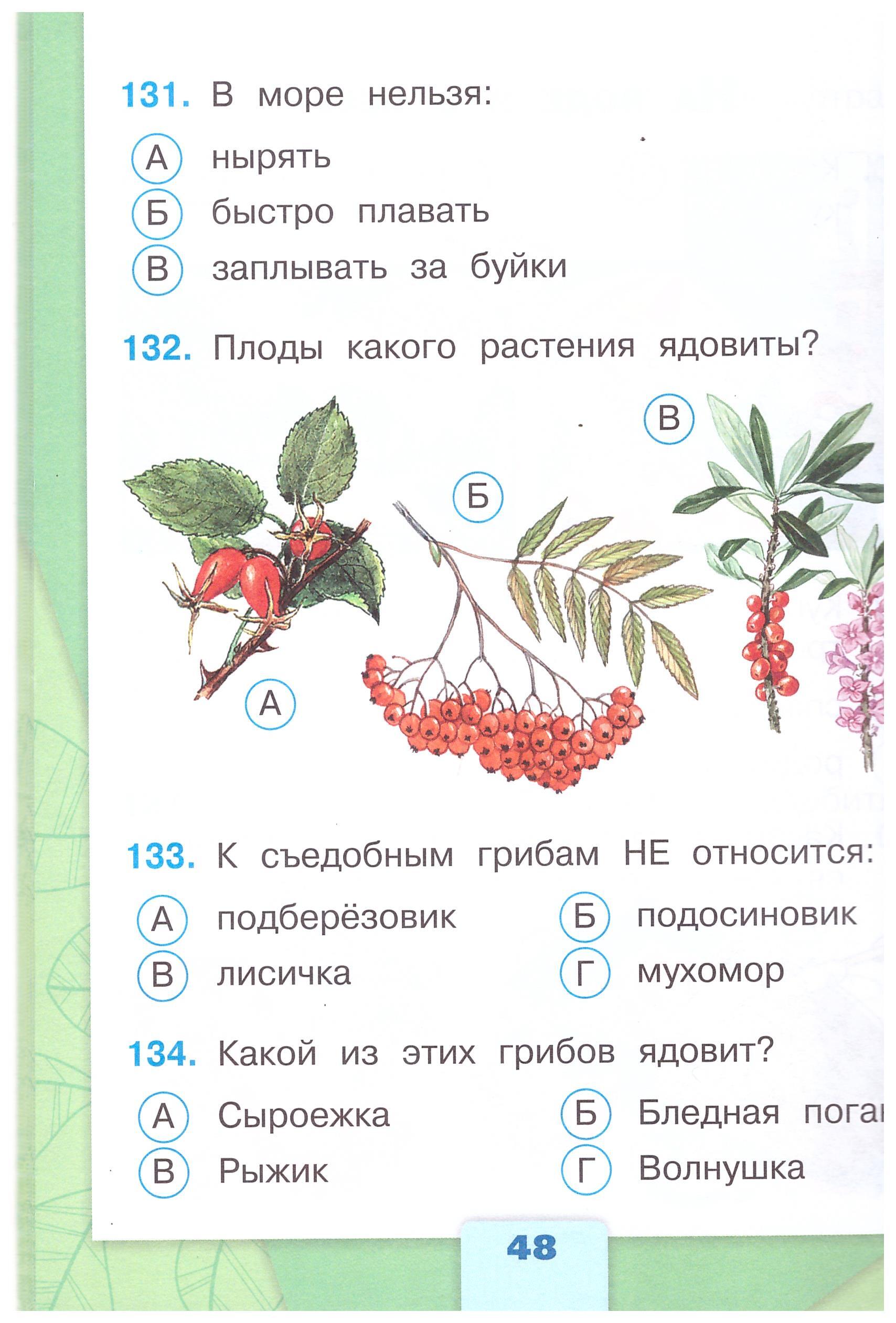 Окружающий Мир 3 Класс Перспектива Купить