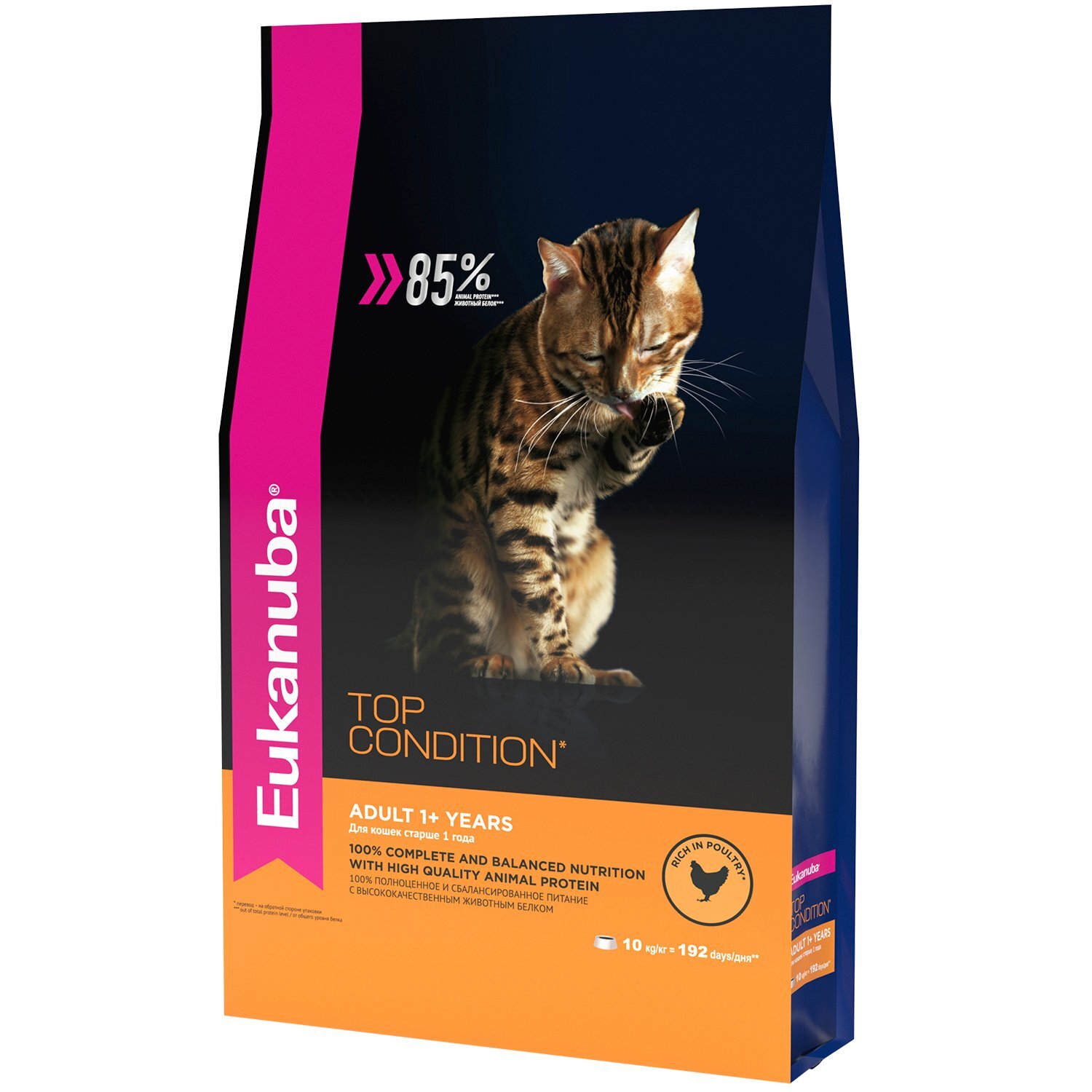 Том кормов для кошек. Eukanuba корм для кошек. Эукануба для кошек. Eukanuba для кошек влажный. Eukanuba Kitten Rich in Chicken Эукануба Киттен с домашней птицей 2 кг.