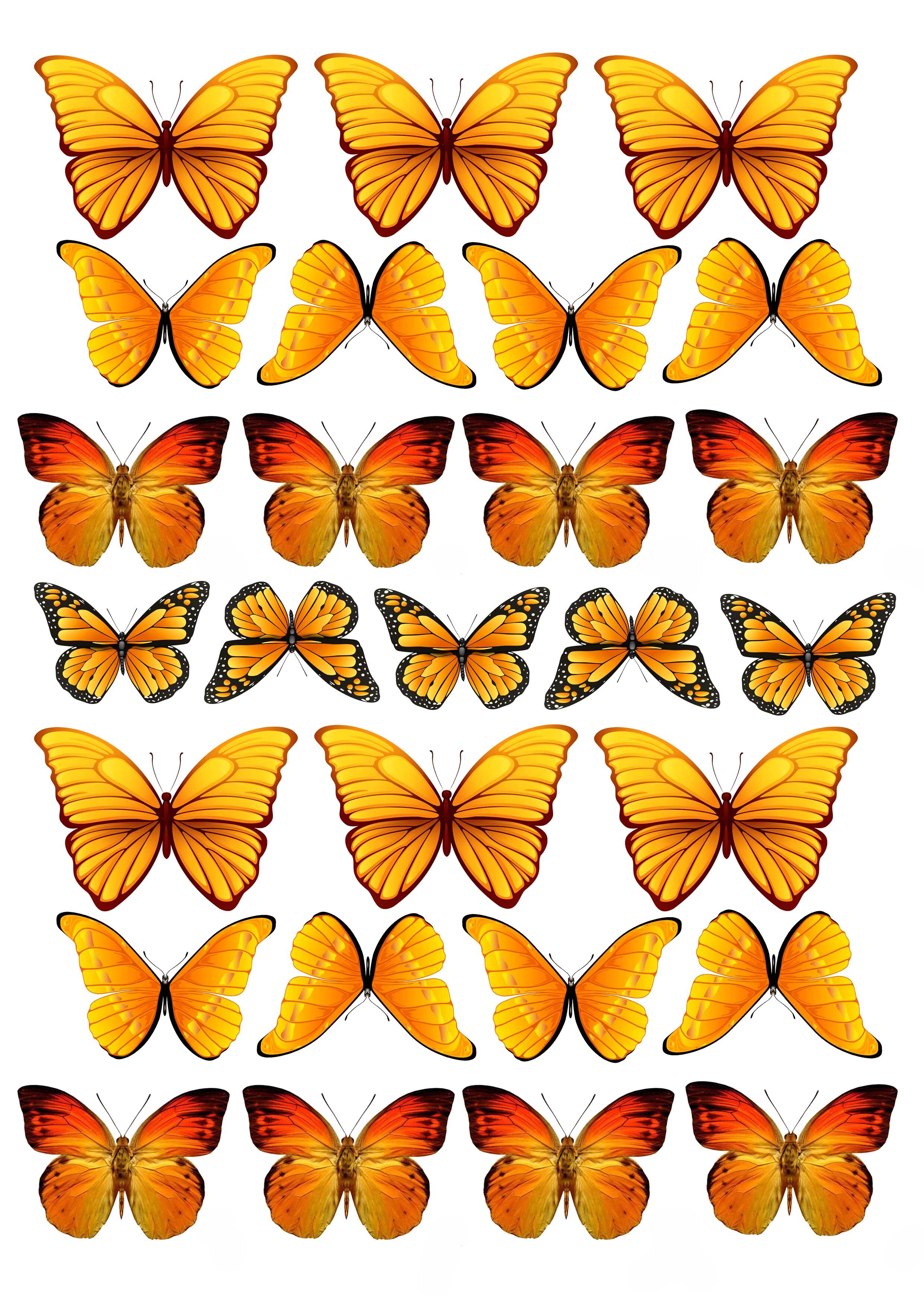 Бабочки на торт картинки. Вафельные бабочки для торта. Оранжевые бабочки для торта. Желтые бабочки для вафельной печати. Бабочки оранжевые для печати.