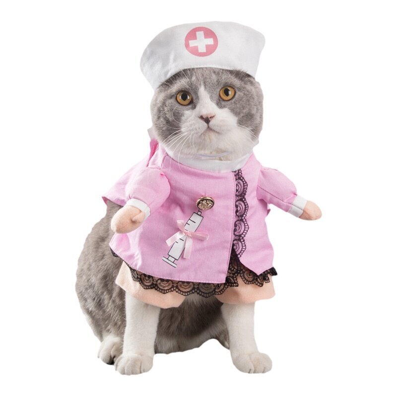 Кот в костюме врача