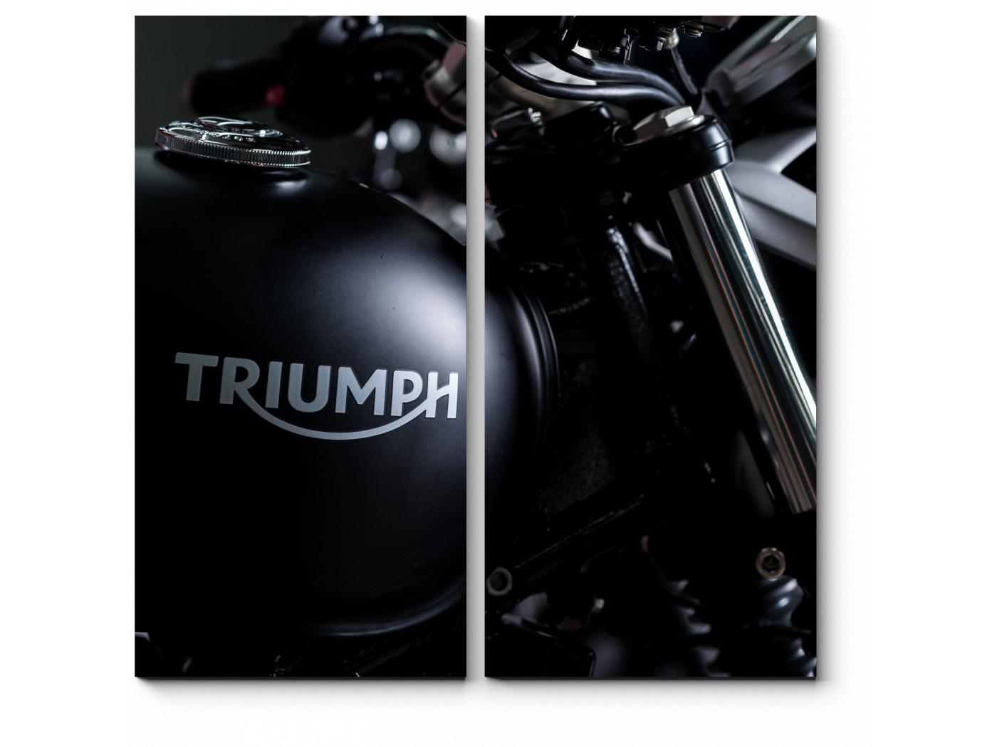 Триумф 40. Триумф 40