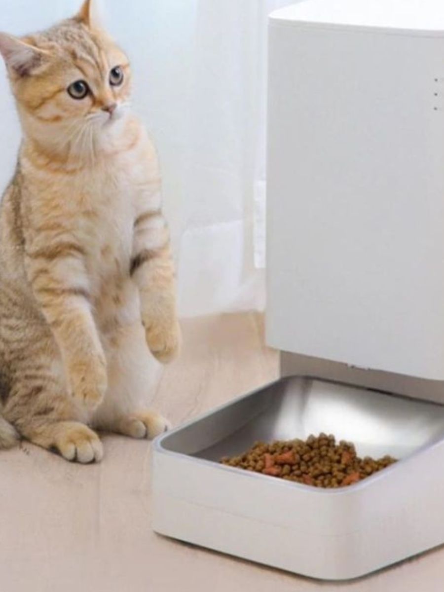 Xiaomi food feeder. Умная кормушка для кошек Xiaomi Furrytail Smart. Умная кормушка для кошек Furrytail Smart Feeder. Умная кормушка для животных Xiaomi Mijia Smart Pet Feeder xwpf01mg (белая).