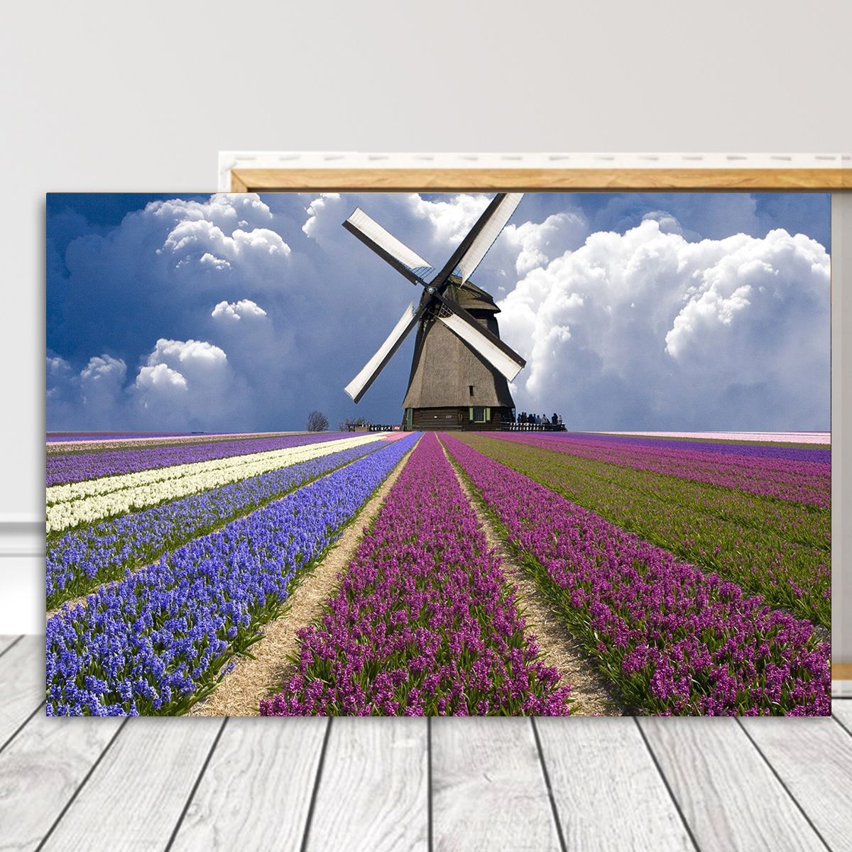 Windmill floral expressions