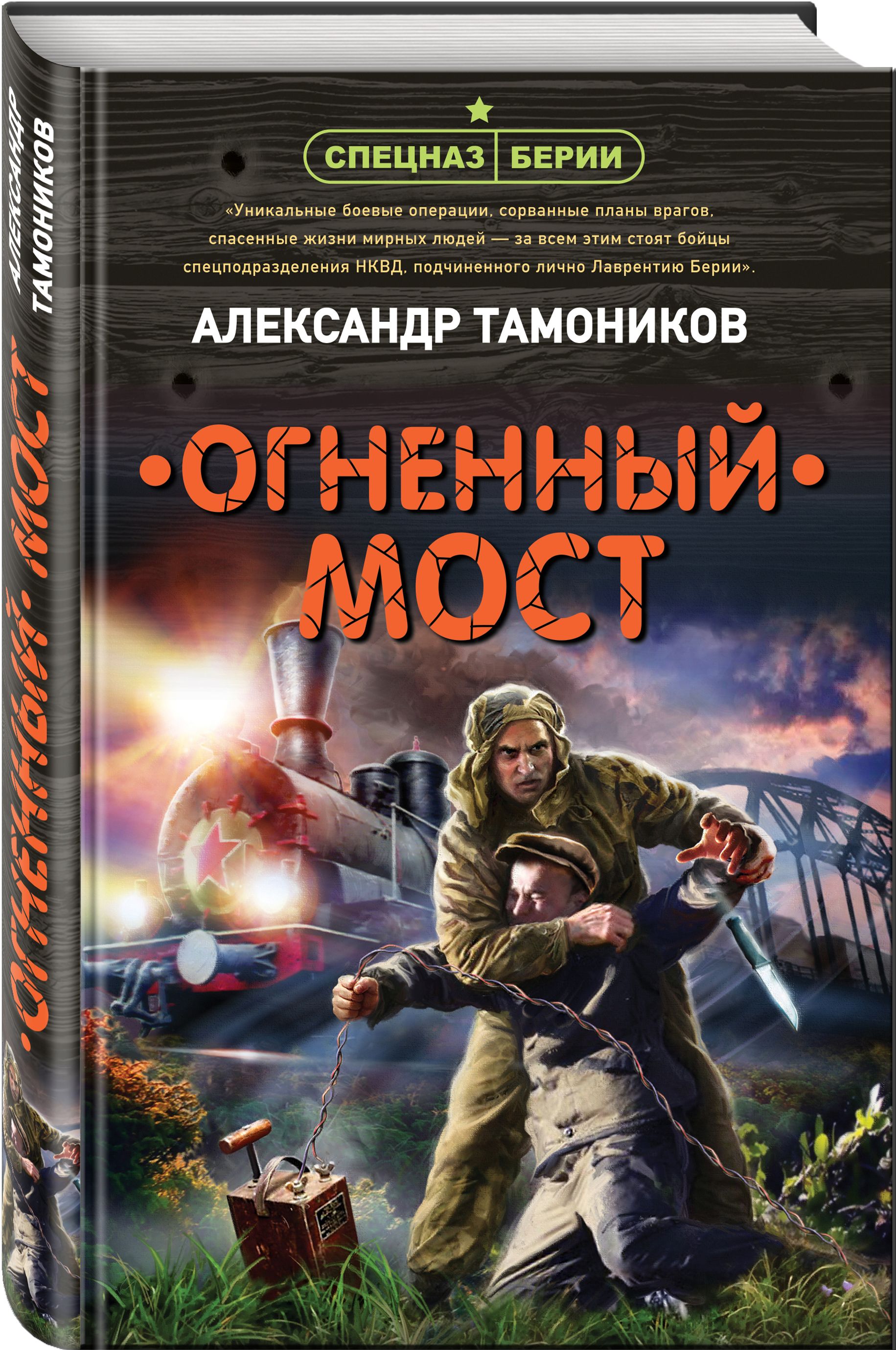 Тамоников читать. Тамоников а. 