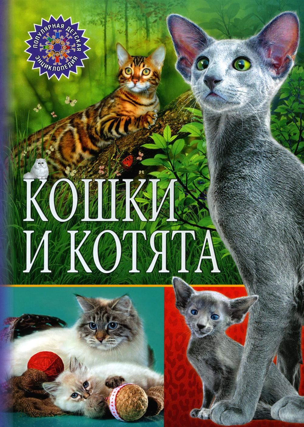 Энциклопедия кошек картинки