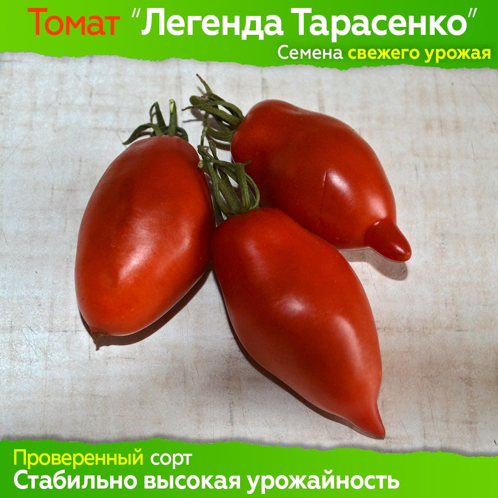 Томат тарасенко томат описание фото отзывы