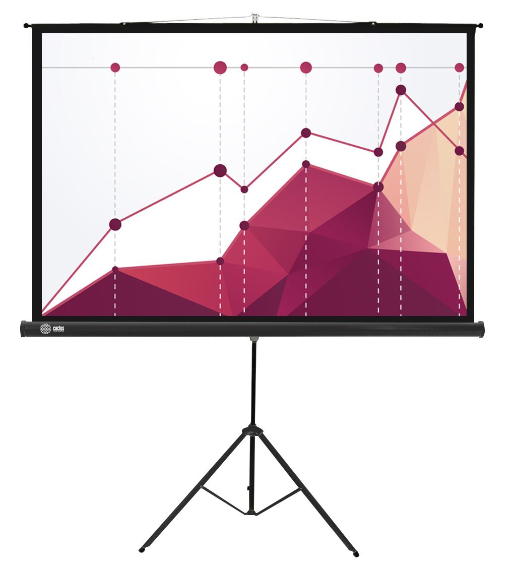 Экран Cactus Triscreen CS-PST-180x180 черный, размер экрана 180x180см, формат 1:1, напольный, рулонный