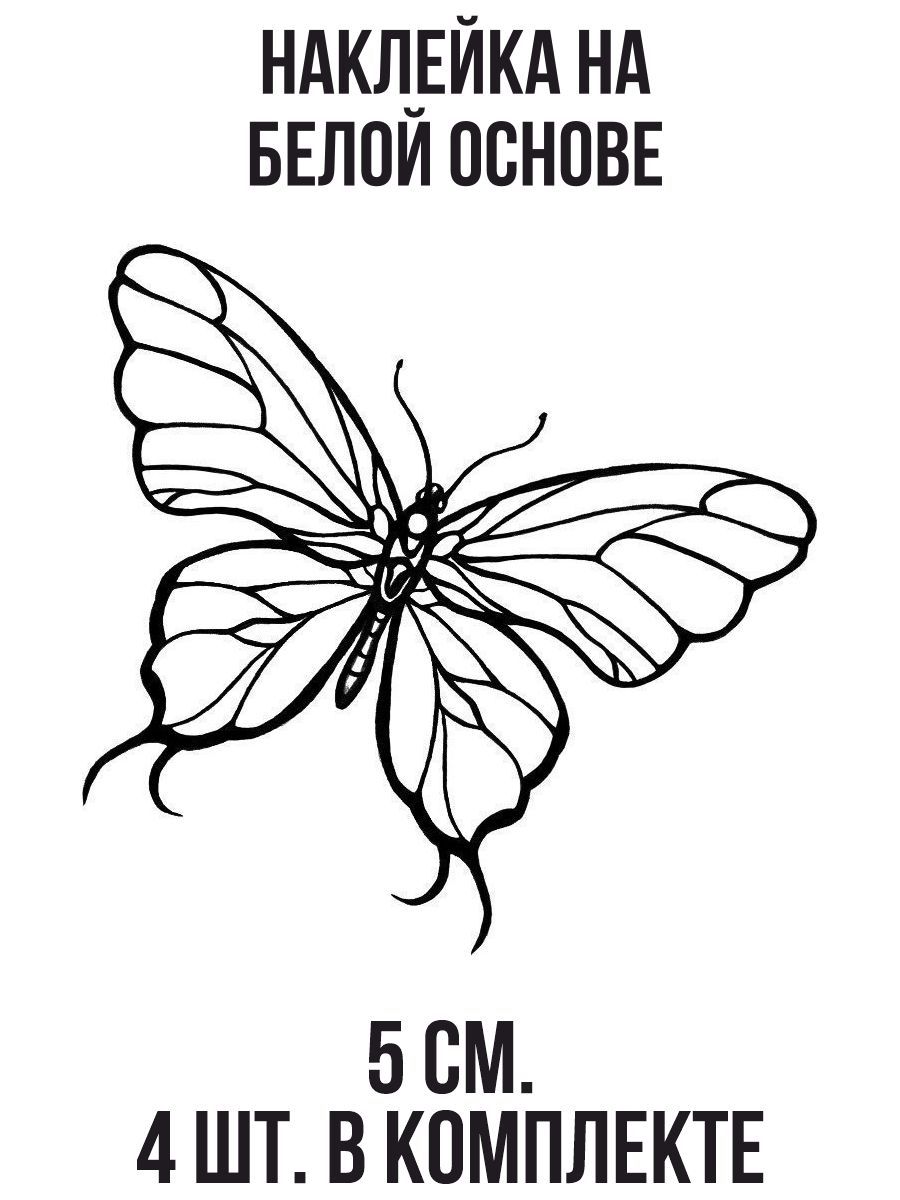 Drawing butterflies. Stencil butterfly, moth wings and flying insects isolated v
