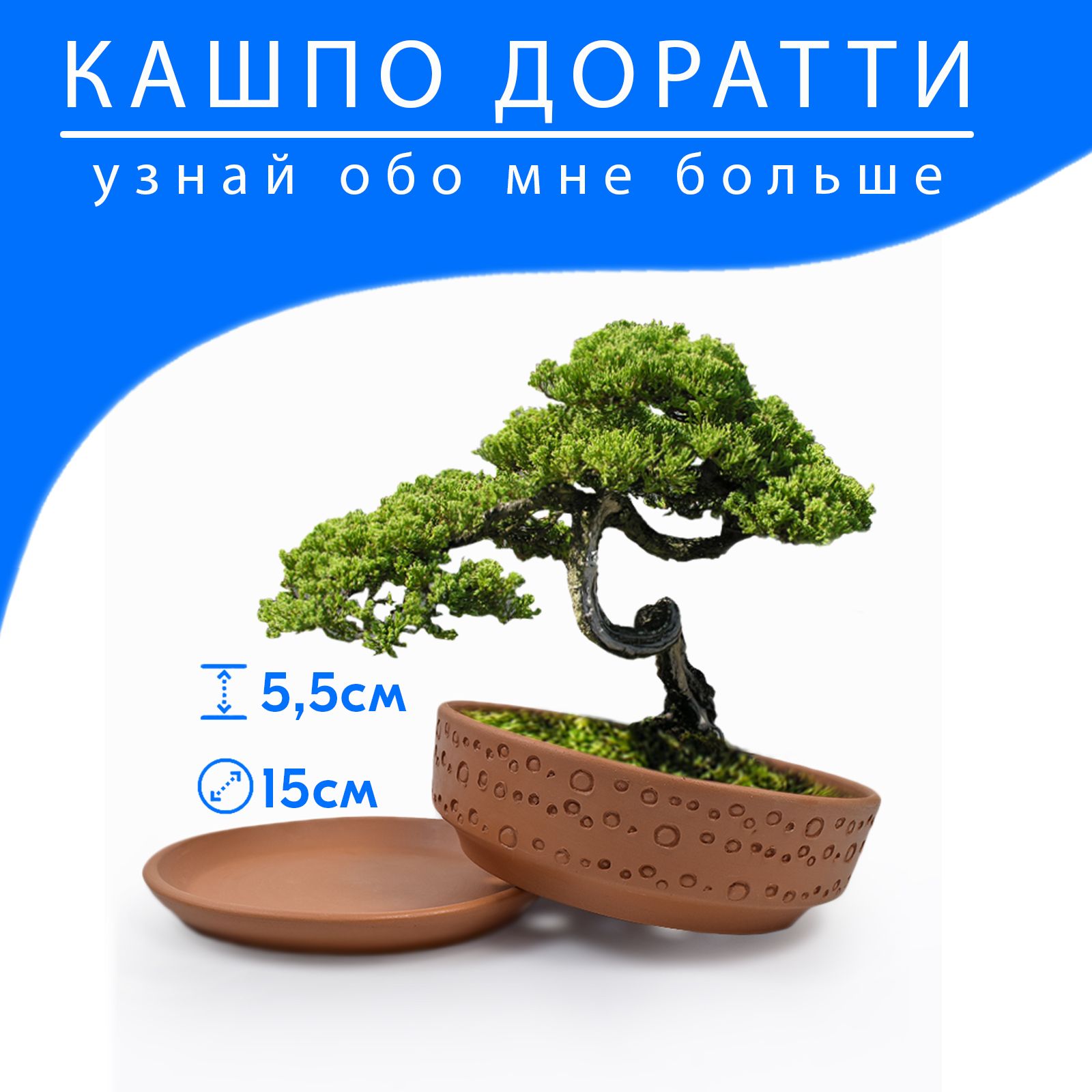 Keramika Кашпо, 5,5 см х 15 см, 0,4 л, 1 шт - купить с доставкой по  выгодным ценам в интернет-магазине OZON (733581444)