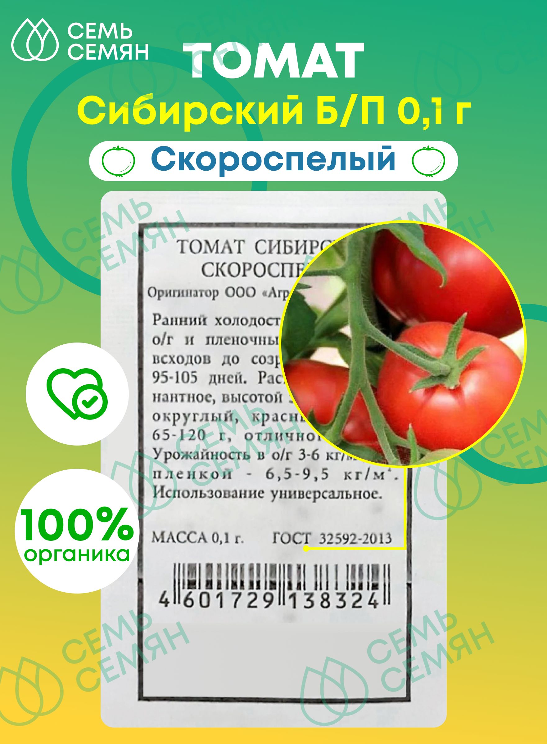 Сорт Томатов Сибирский Скороспелый Отзывы Фото