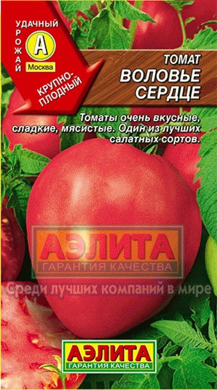 Томаты воловье сердце описание сорта фото