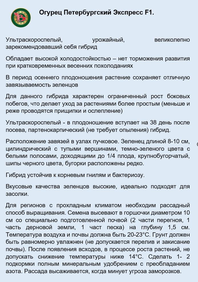 Петербургский экспресс отзывы. Огурец Петербургский экспресс. Петербургский экспресс.