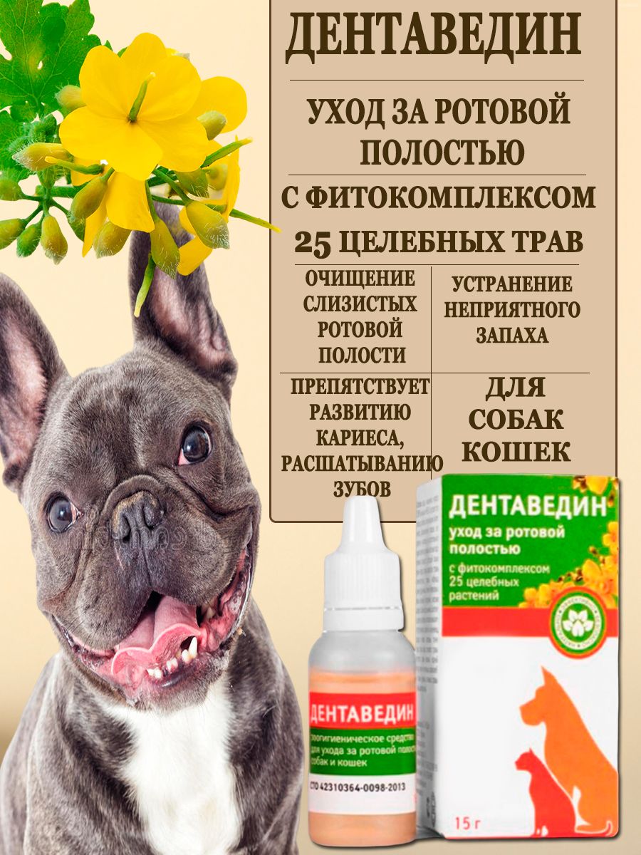 Стомадин гель для кошек