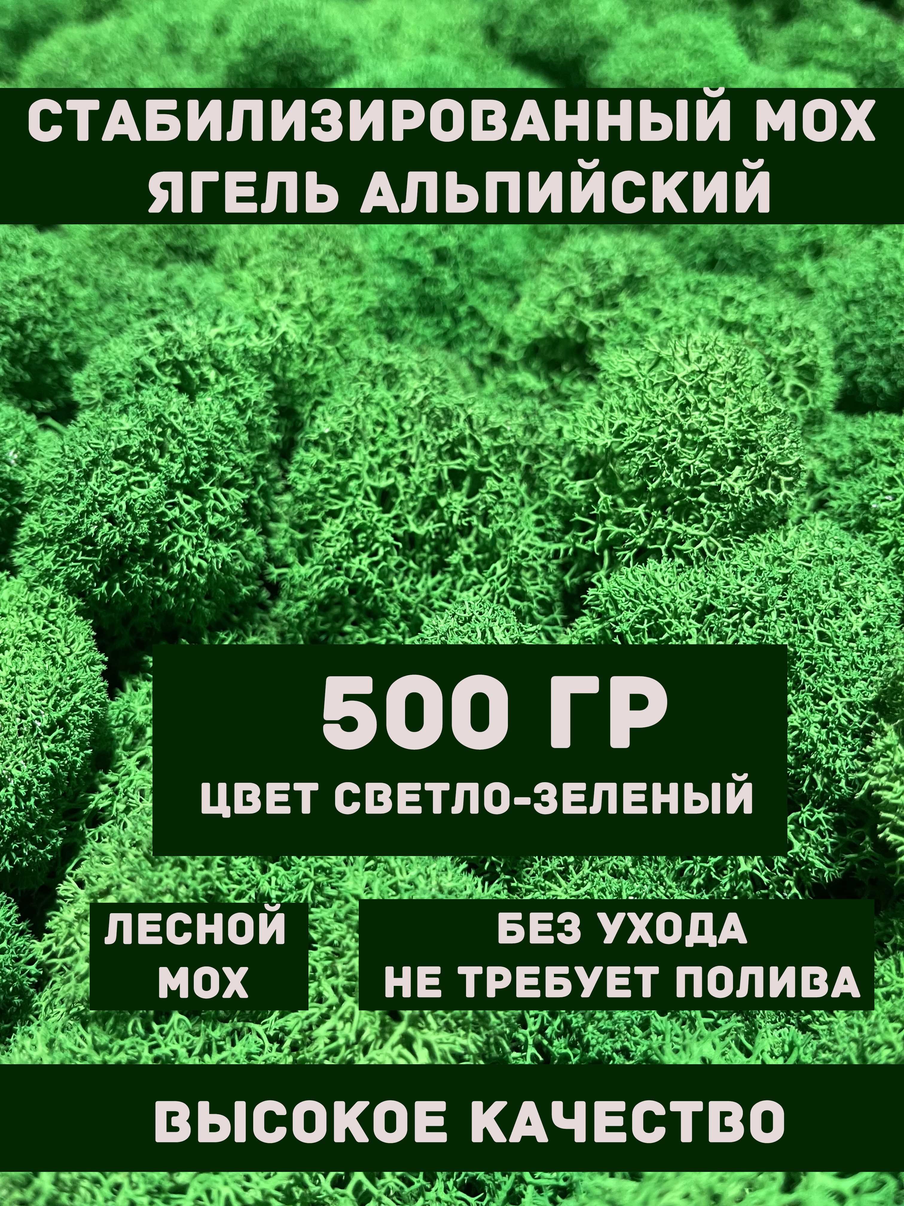 Опал облепивший мох 6 букв. Опал облепивший мох 6 букв